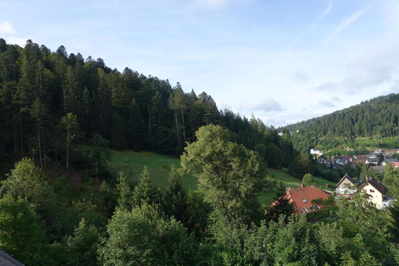 Apartamento Zum Schwalbennest Todtmoos Exterior foto
