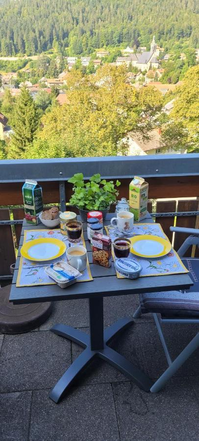 Apartamento Zum Schwalbennest Todtmoos Exterior foto