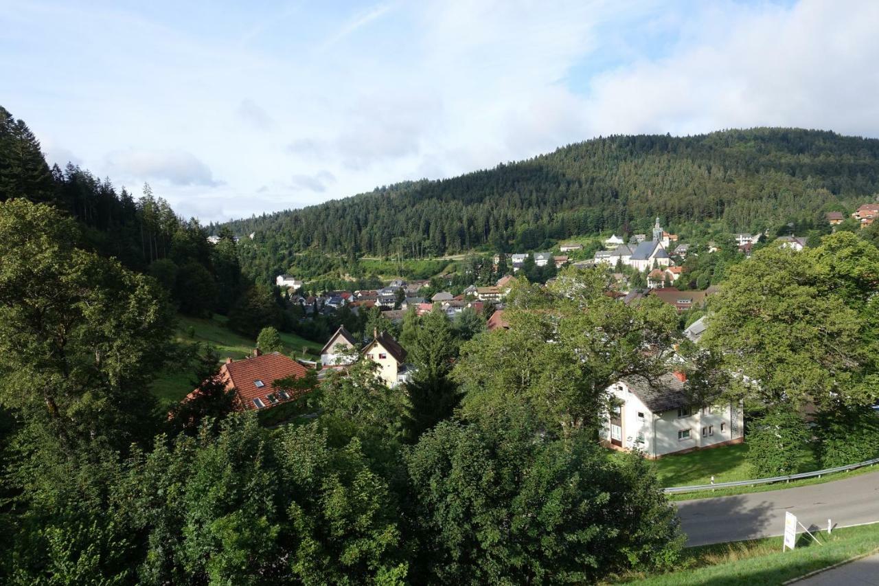 Apartamento Zum Schwalbennest Todtmoos Exterior foto