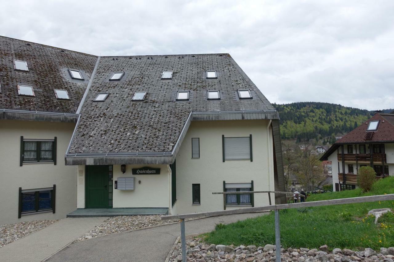 Apartamento Zum Schwalbennest Todtmoos Exterior foto