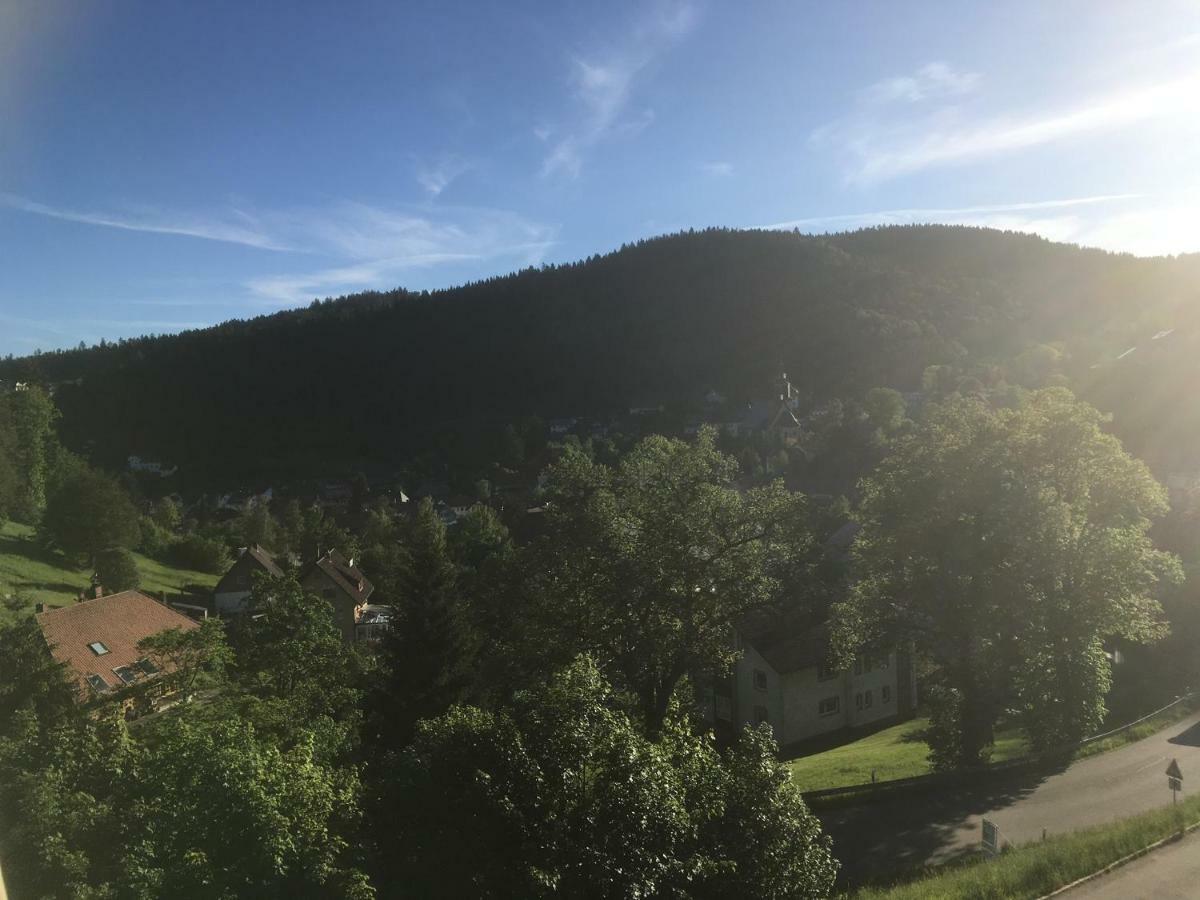 Apartamento Zum Schwalbennest Todtmoos Exterior foto
